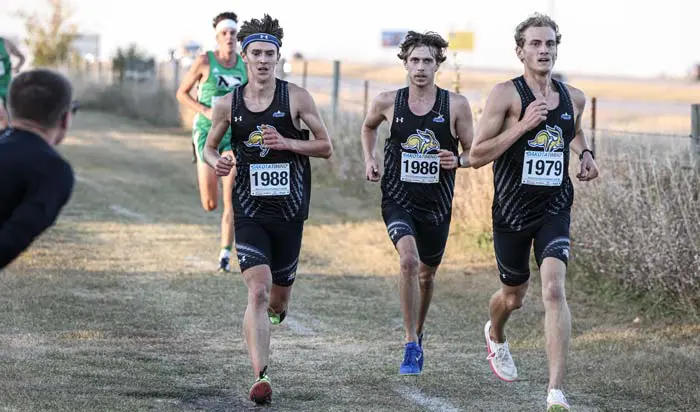 Runners running a race